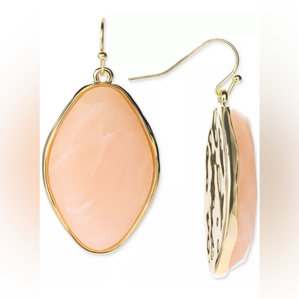 New Style & Co Gold-Tone Stone Hook Earrings